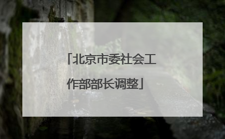 北京市委社会工作部部长调整