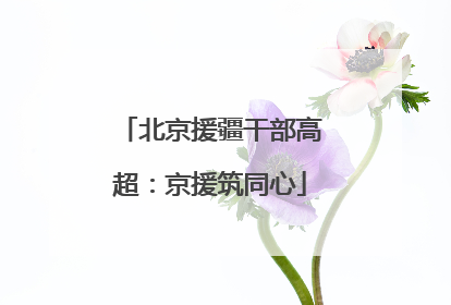 北京援疆干部高超：京援筑同心