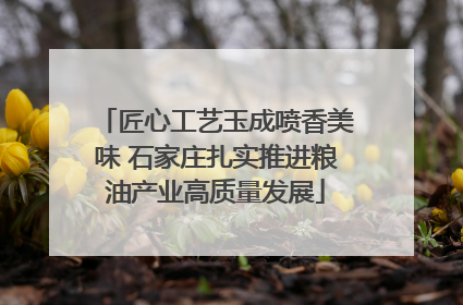 匠心工艺玉成喷香美味 石家庄扎实推进粮油产业高质量发展