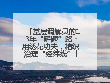 基层调解员的13年“解题”路：用绣花功夫，精织治理“经纬线”