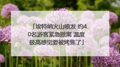 埃特纳火山喷发 约40名游客紧急撤离 温度极高感觉要被烤焦了