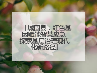 城固县：红色基因赋能智慧应急 探索基层治理现代化新路径