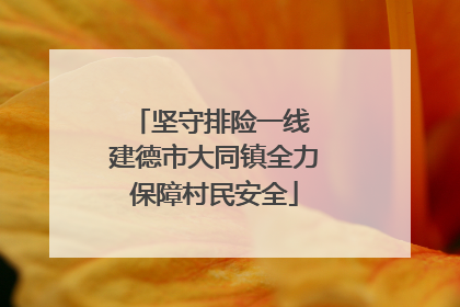 坚守排险一线 建德市大同镇全力保障村民安全