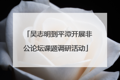 吴志明到平潭开展非公论坛课题调研活动