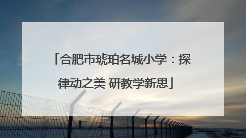 合肥市琥珀名城小学：探律动之美 研教学新思
