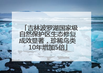 吉林波罗湖国家级自然保护区生态修复成效显著，珍稀鸟类10年增加5倍