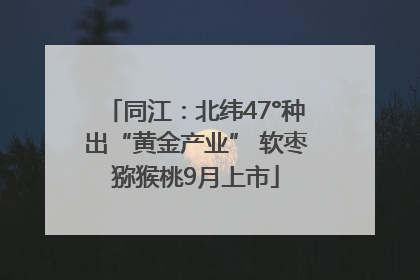 同江：北纬47°种出“黄金产业” 软枣猕猴桃9月上市