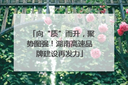 向“质”而升，聚势图强！湖南高速品牌建设再发力