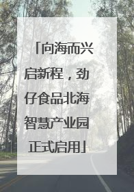 向海而兴启新程，劲仔食品北海智慧产业园正式启用