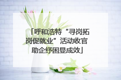 呼和浩特“寻岗拓岗促就业”活动收官 助企纾困显成效