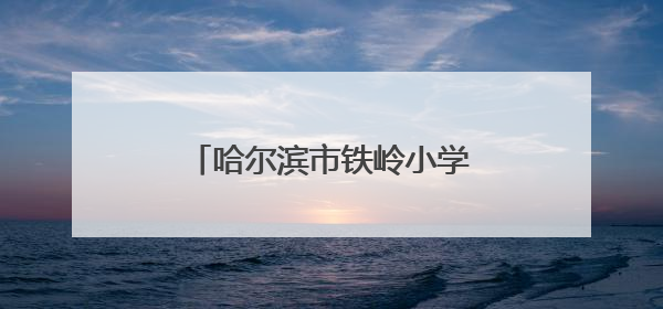 哈尔滨市铁岭小学校第二十七届春季田径运动会圆满举行