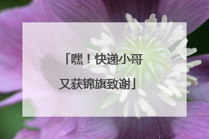 嘿！快递小哥又获锦旗致谢