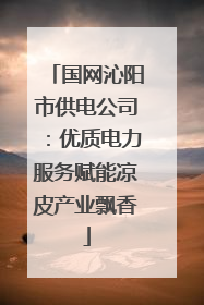 国网沁阳市供电公司：优质电力服务赋能凉皮产业飘香