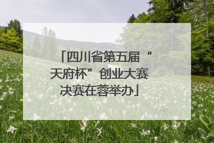 四川省第五届“天府杯”创业大赛决赛在蓉举办