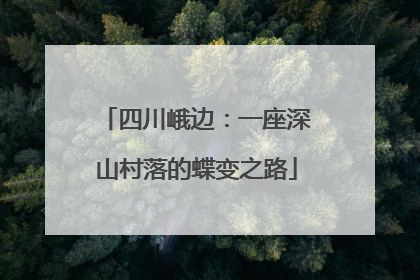 四川峨边：一座深山村落的蝶变之路