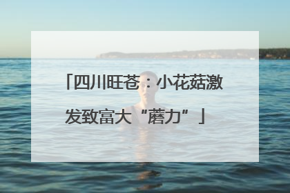 四川旺苍：小花菇激发致富大“蘑力”