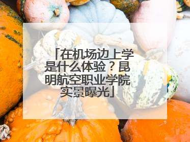 在机场边上学是什么体验？昆明航空职业学院实景曝光