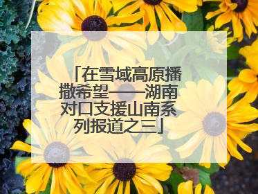 在雪域高原播撒希望——湖南对口支援山南系列报道之三