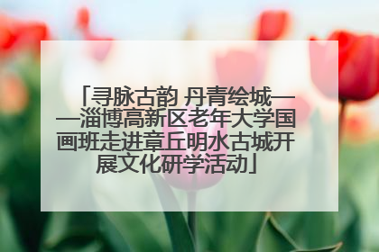 寻脉古韵 丹青绘城——淄博高新区老年大学国画班走进章丘明水古城开展文化研学活动