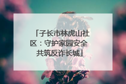 子长市林虎山社区：守护家园安全 共筑反诈长城