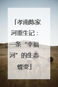 孝南陈家河重生记：一条“幸福河”的生态蝶变