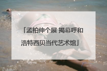 孟柏伸个展 揭幕呼和浩特西贝当代艺术馆