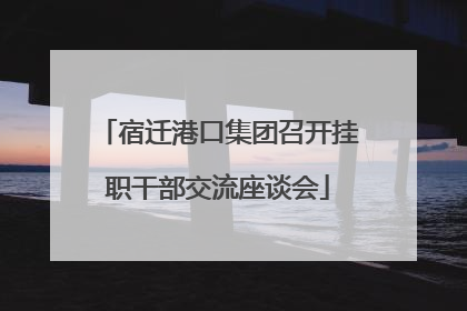 宿迁港口集团召开挂职干部交流座谈会