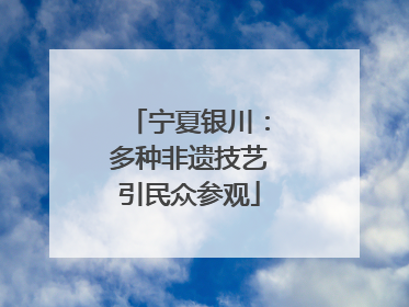 宁夏银川：多种非遗技艺引民众参观