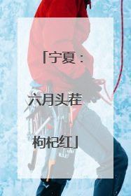 宁夏：六月头茬枸杞红