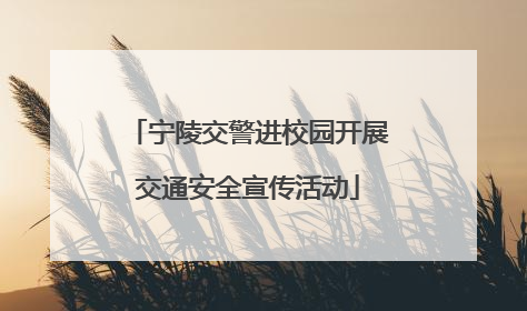 宁陵交警进校园开展交通安全宣传活动