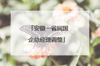 安徽一省属国企总经理调整