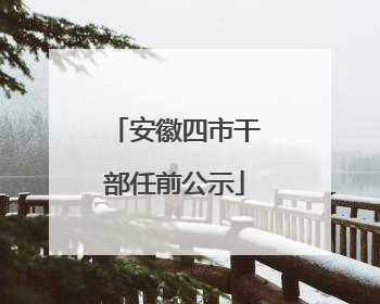 安徽四市干部任前公示