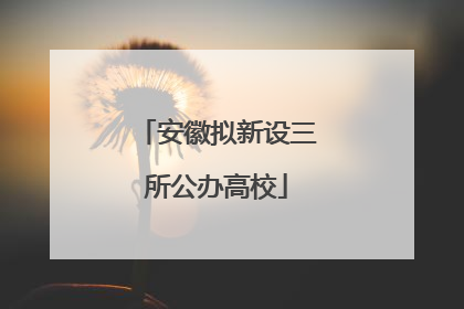 安徽拟新设三所公办高校