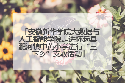 安徽新华学院大数据与人工智能学院走进怀远县淝河镇中黄小学进行“三下乡”支教活动