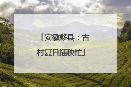 安徽黟县：古村夏日插秧忙