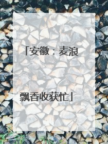 安徽：麦浪飘香收获忙
