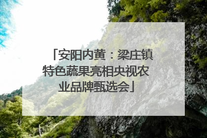安阳内黄：梁庄镇特色蔬果亮相央视农业品牌甄选会