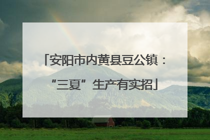 安阳市内黄县豆公镇:“三夏”生产有实招