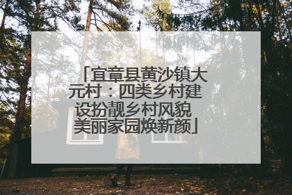 宜章县黄沙镇大元村：四类乡村建设扮靓乡村风貌 美丽家园焕新颜