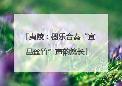 夷陵：器乐合奏“宜昌丝竹”声韵悠长