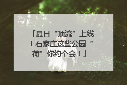 夏日“顶流”上线！石家庄这些公园“荷”你约个会！