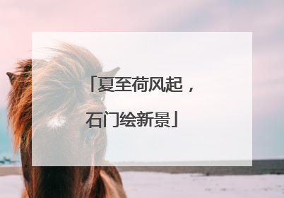 夏至荷风起，石门绘新景