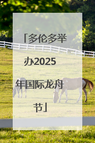 多伦多举办2025年国际龙舟节