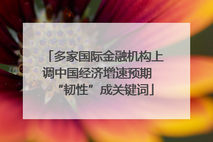多家国际金融机构上调中国经济增速预期 “韧性”成关键词