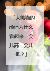 大熊猫的颜值为什么看起来一会儿高一会儿低？