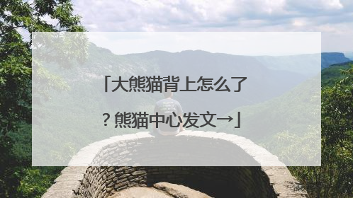 大熊猫背上怎么了？熊猫中心发文→