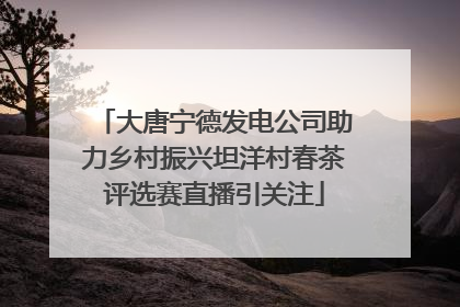 大唐宁德发电公司助力乡村振兴坦洋村春茶评选赛直播引关注