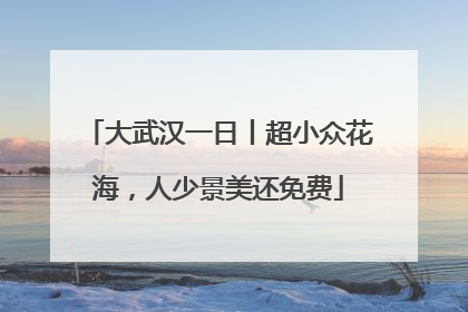 大武汉一日丨超小众花海，人少景美还免费