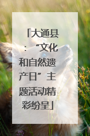 大通县：“文化和自然遗产日”主题活动精彩纷呈