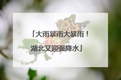 大雨暴雨大暴雨！湖北又迎强降水